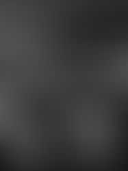 Spears 500: Studio Sorores Named Top Recommended for Wedding Planners, Events & Entertainment