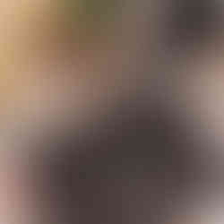 Hartham Park Estate Weddings Cotswolds Queen and Whippet Caterer