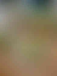 Thyme bertioli cotswolds interior event design