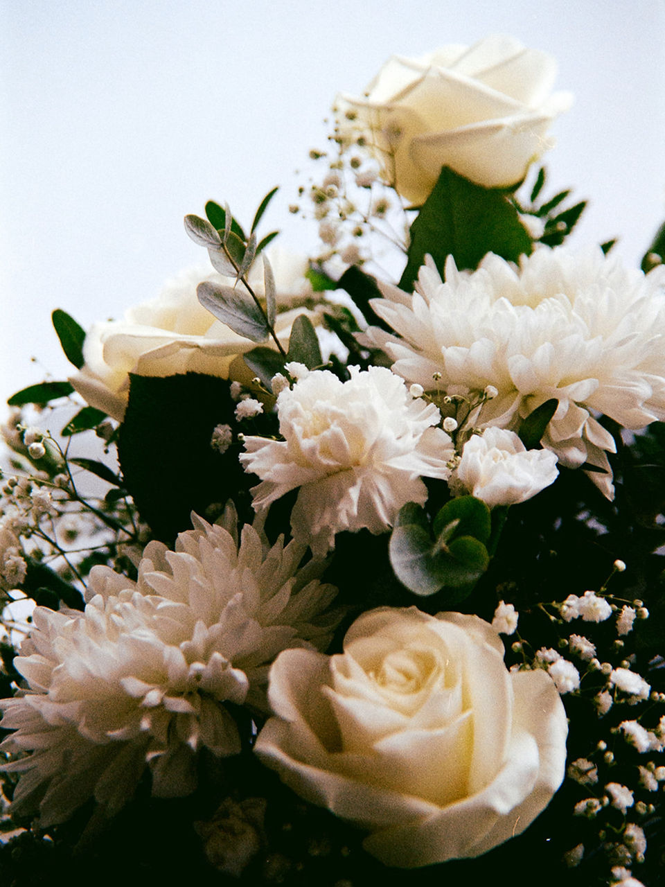 film photography wedding