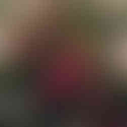 Hartham Park Estate Weddings Cotswolds Queen and Whippet Caterer