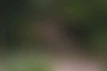 magical deswall court herefordshire uk wedding and party venue in the english countryside