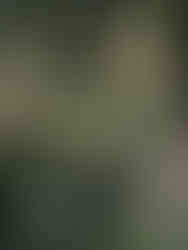 An Impressionist  Wedding in Provence: Light, Colour and a Painterly Palette - Pink, Yellow, Green - Monet and Dior