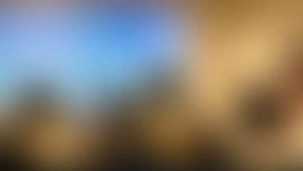 理系学生向けキャリアイベントにCEOの田口が登壇いたしました