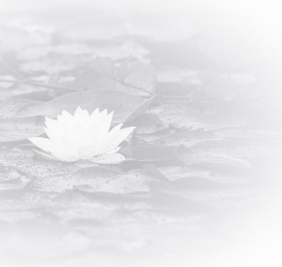 grayscale photo of water lily_edited_edited_edited.jpg