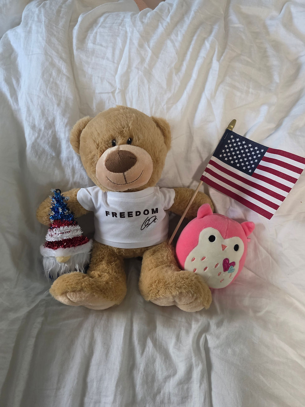 Freedom Shirt Teddy Bear | Charlie Kirk Inspired Keepsake | Patriotic Teddy Bear