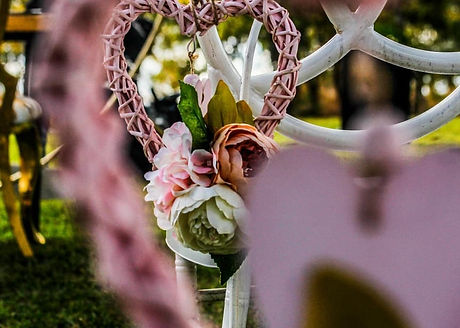 65273486_368404727147048_686982374784761