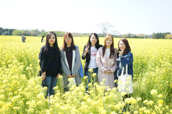 2017 KCS (Jeju, Korea)
