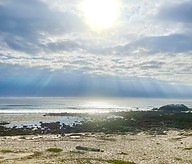 sun in carmel.jpg