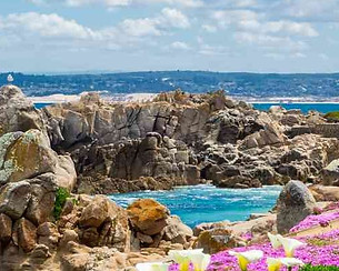 Pacific_Grove.jpg