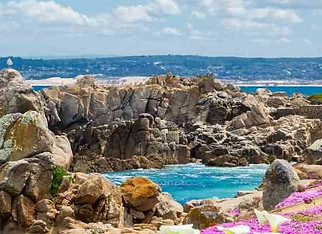 Pacific_Grove.jpg