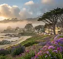 carmel-coast-dawn-fog-1024x768.webp