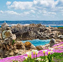 Pacific_Grove.jpg