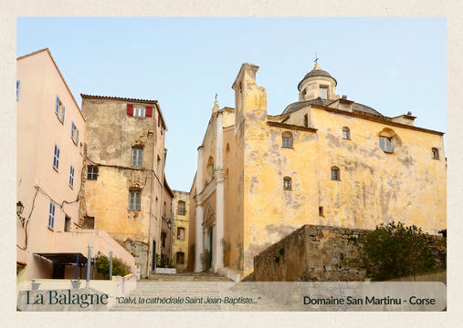 citadelle Calvi Corse Balagne ville historique patrimoine cathédrale