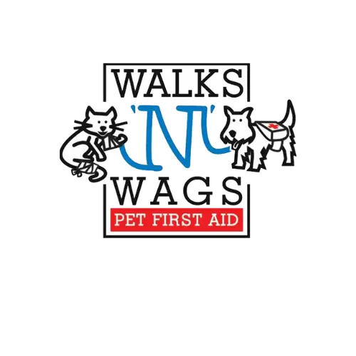 WalksnWagsFirstAidTrainedDogWalkerCalgary+.webp