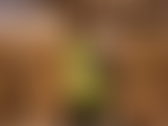 Clases de Ropa de Alta Visibilidad y su Importancia en la Seguridad Laboral