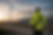 Occupational health and safety specialist at a wind farm and power substation at sunset