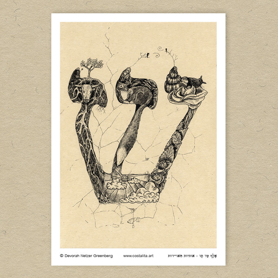 גלויית האות ש