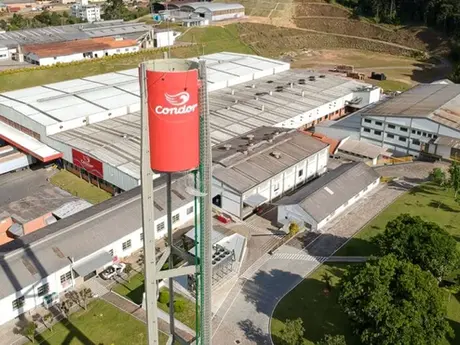 CONDOR Gigante de SC com 97 anos usa dados, fio dental e saco de lixo para dobrar de tamanho