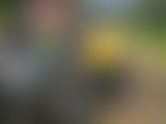 Acidente grave em Papanduva entre carro e caminhão - Um morto