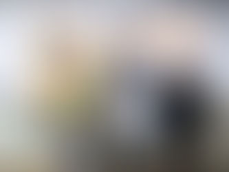 Diagnósticos entregues marcam nova etapa do projeto Vivências Rurais