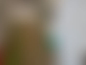 Agentes de Saúde de São Bento do Sul recebem capacitação em Mafra