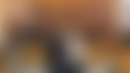 Entidades são homenageadas em sessão solene de moção de aplausos