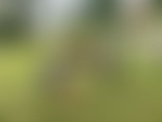 Abordagem Social inicia trabalho de intervenção em grupo com pessoas em situação de rua