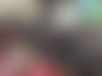 Conselho Gestor realiza XIX Assembleia Geral Ordinária da APA do Rio Vermelho