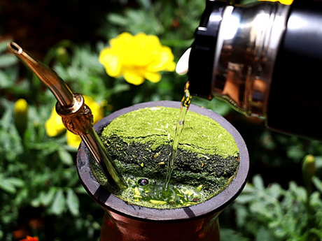 Concurso Fotográfico "Canoinhas: Terra da Erva-Mate" encerra inscrições nesta sexta