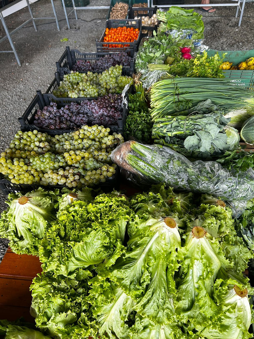 A Prefeitura de São Bento do Sul realiza nesta semana duas edições do Programa Câmbio Verde