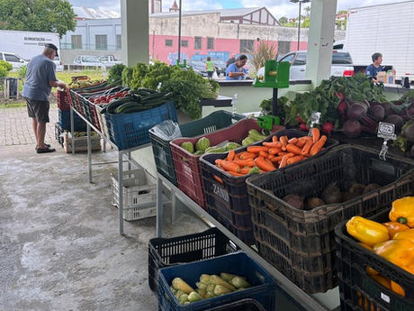 Câmbio Verde - Prefeitura divulga cronograma do Programa Câmbio Verde para o mês de janeiro