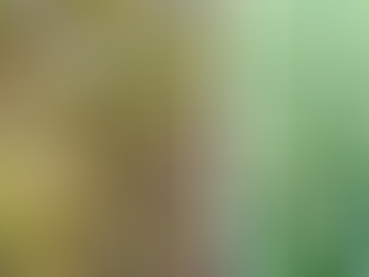 Canoinhas decreta situação de emergência após temporal com granizo