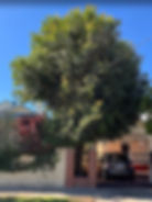 Smiley face - Unsplash Chaitanya Pillala
