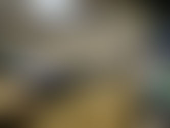 Filescavenger41licensekeygen