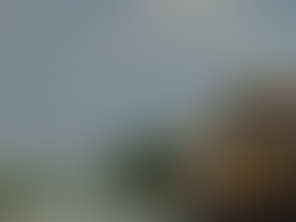 Radical Left in Texas Schools: Racist Teacher Goes on Black Supremacist Internet Rants