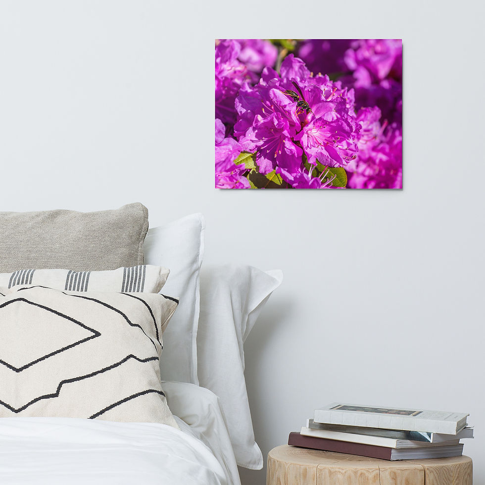 Thumbnail: Rhododendron (with Wasp) Metal Print I