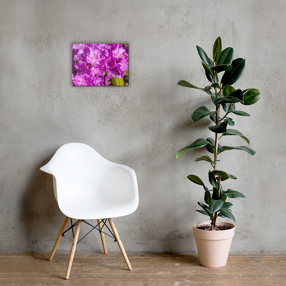 Thumbnail: Rhododendron Canvas I