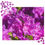 Thumbnail: Rhododendron (with Wasp) Jigsaw Puzzle I
