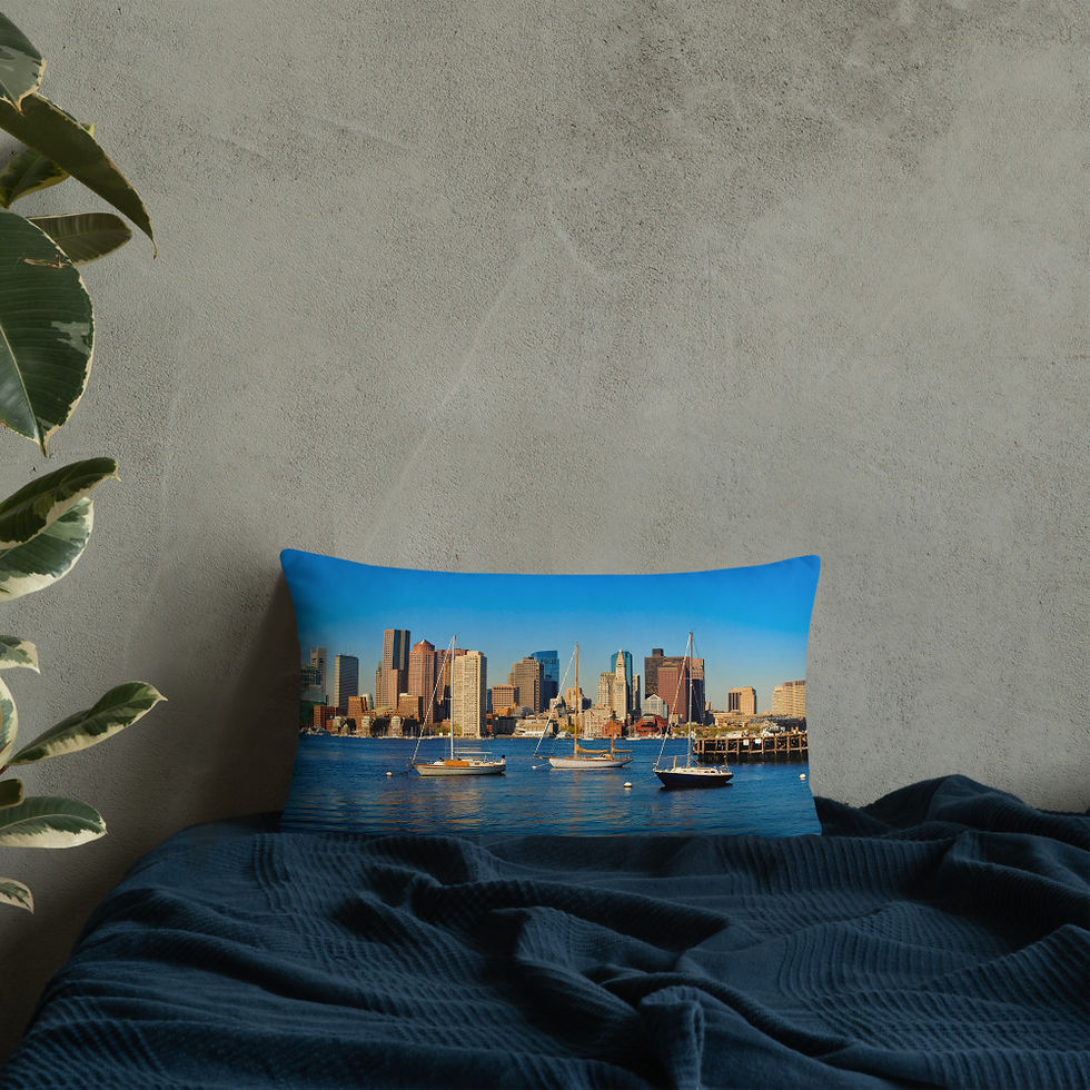 Thumbnail: City of Boston Pillow (2 Images, Front & Back)
