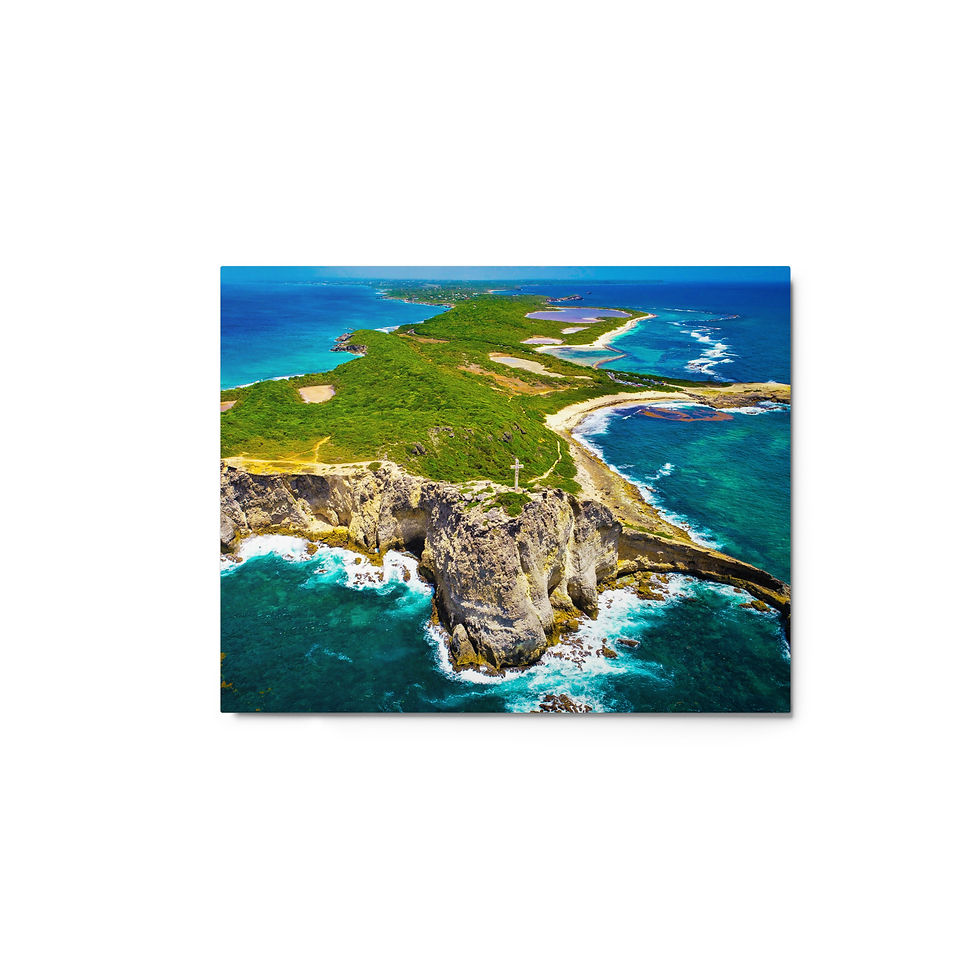 Guadeloupe Metal Print II