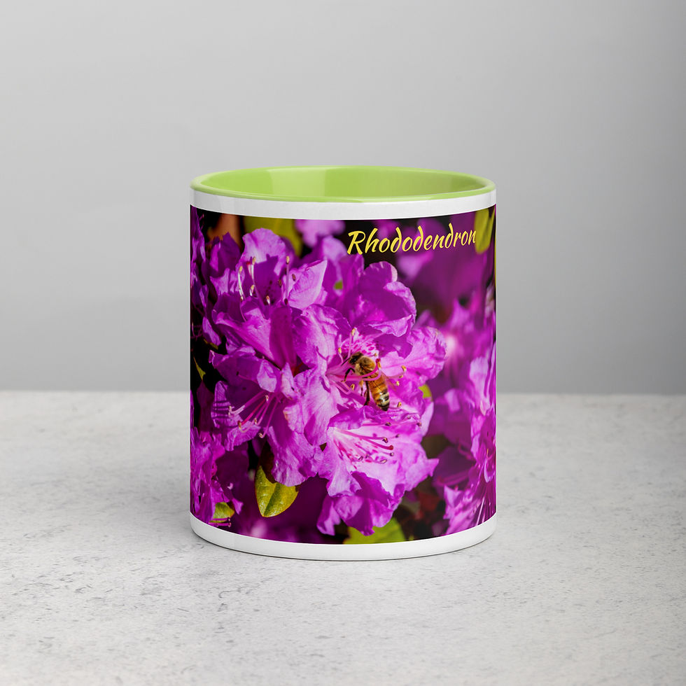 Thumbnail: Rhododendron (with Bee) Mug with Color Inside II