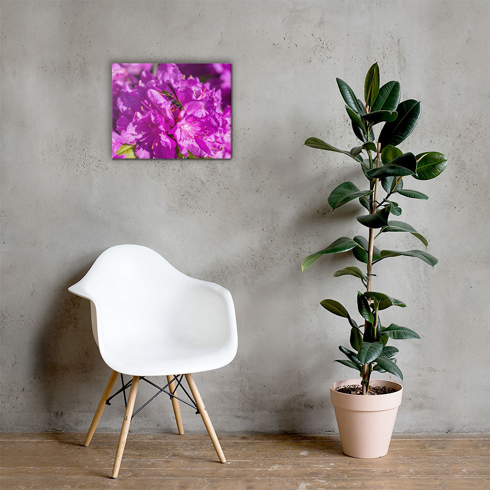 Thumbnail: Rhododendron (with Wasp) Canvas I