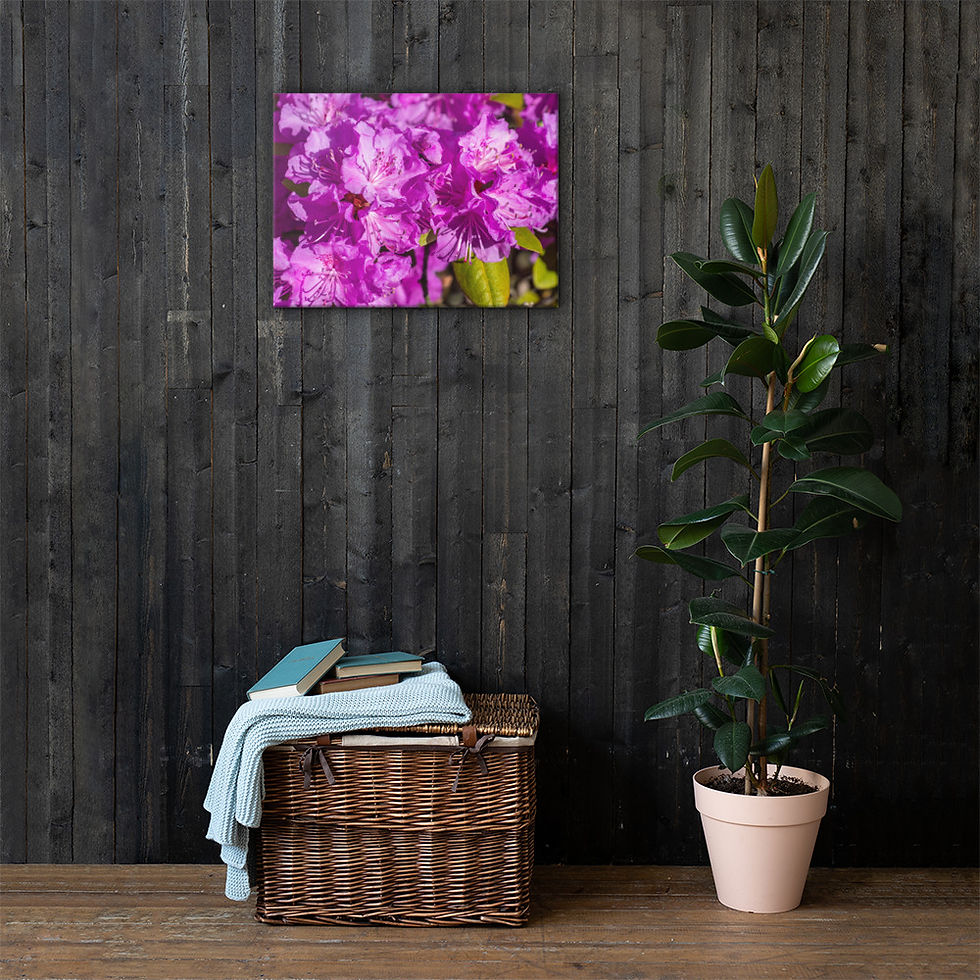 Thumbnail: Rhododendron Canvas I