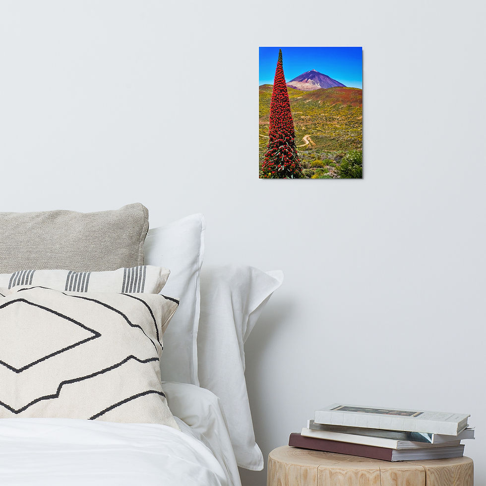 Thumbnail: Tenerife Bugloss Metal Print