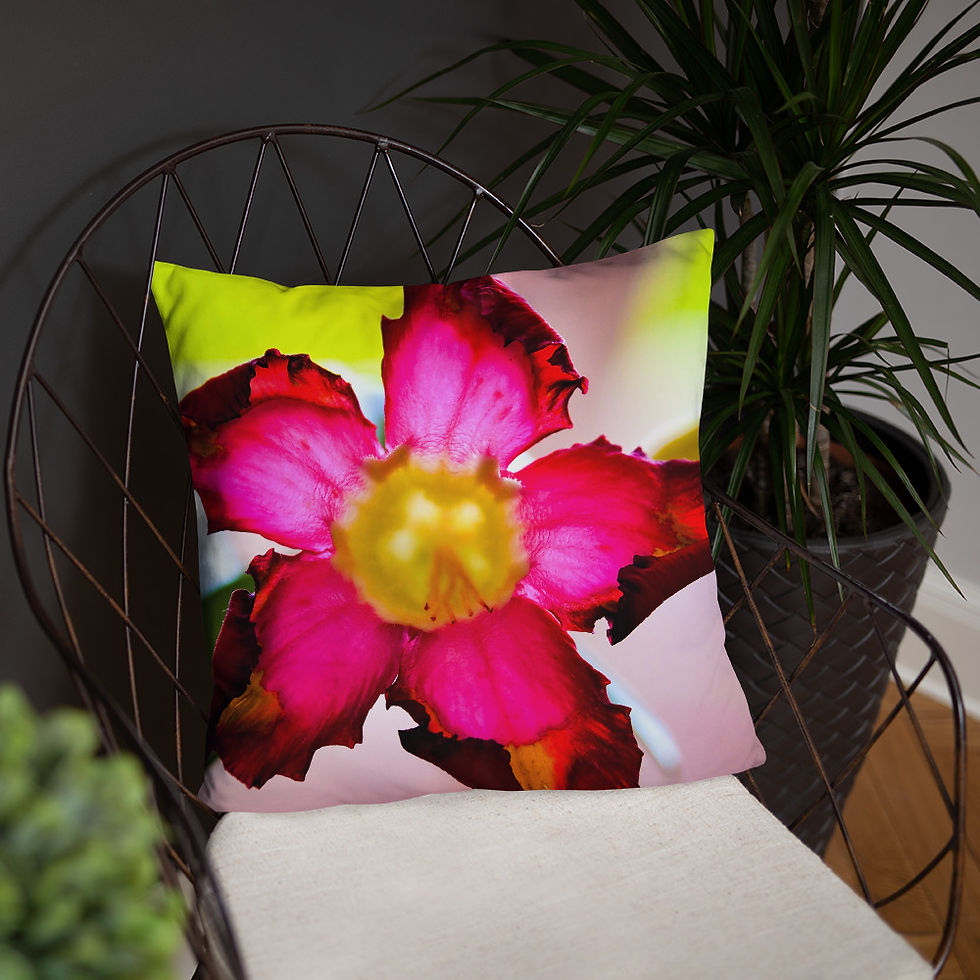 Thumbnail: Desert Rose Pillow
