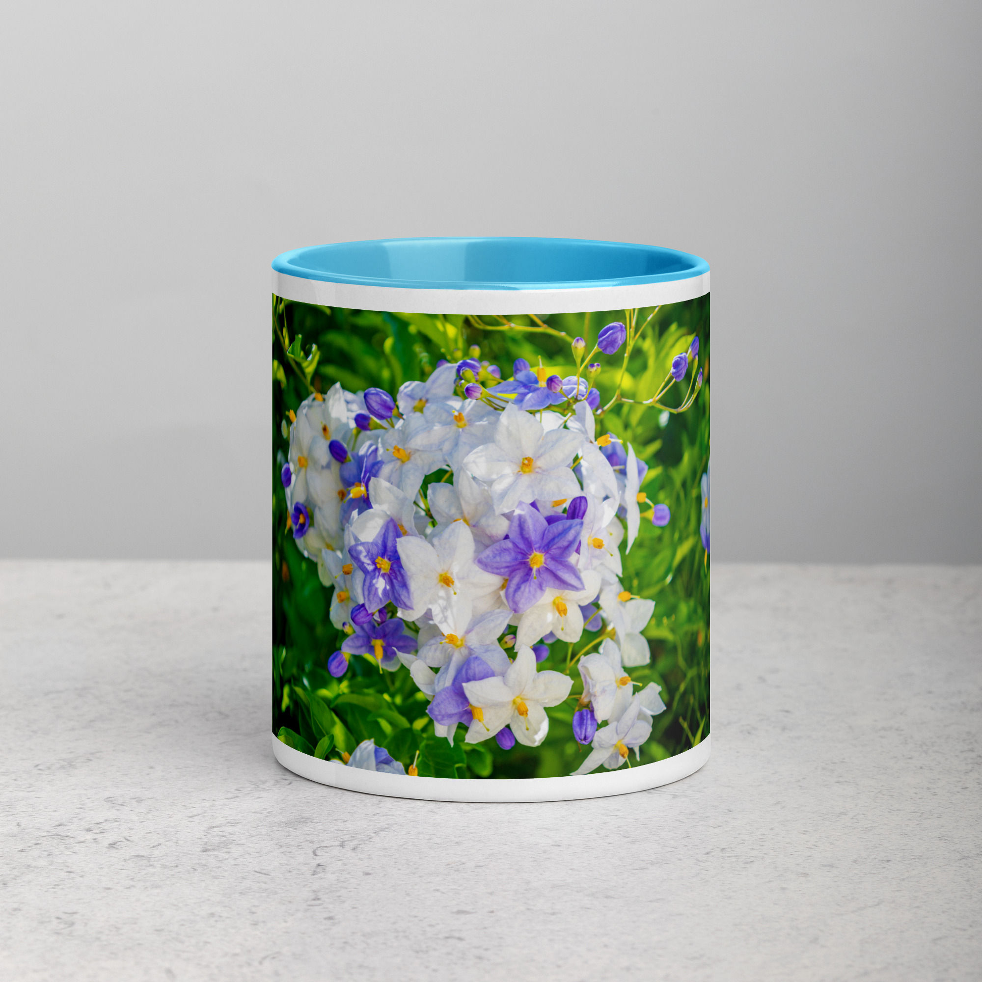 Jasmine Nightshade Mug with Color Inside