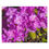 Thumbnail: Rhododendron Jigsaw Puzzle I