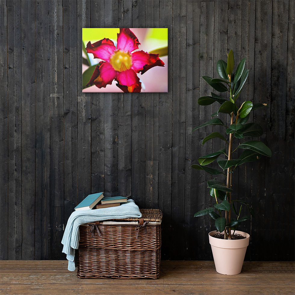 Thumbnail: Desert Rose Canvas