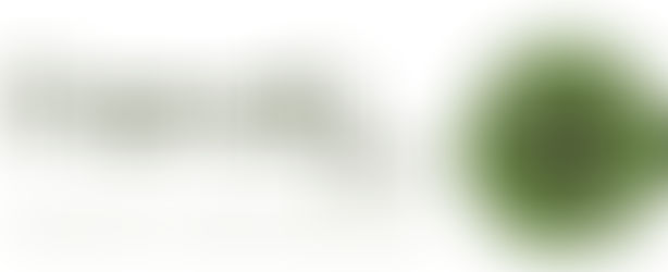 How to Transition to Friendly Shampoo Bars 